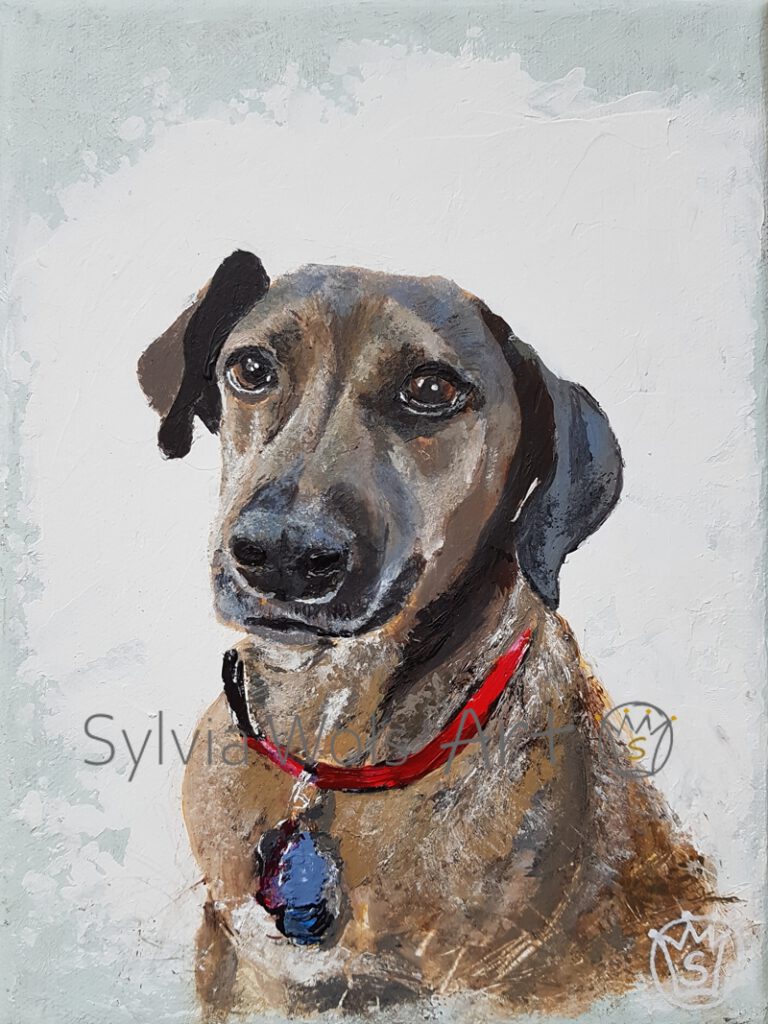 Dog portrait