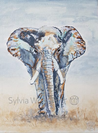 Aluprint "Elefant" Aquarell